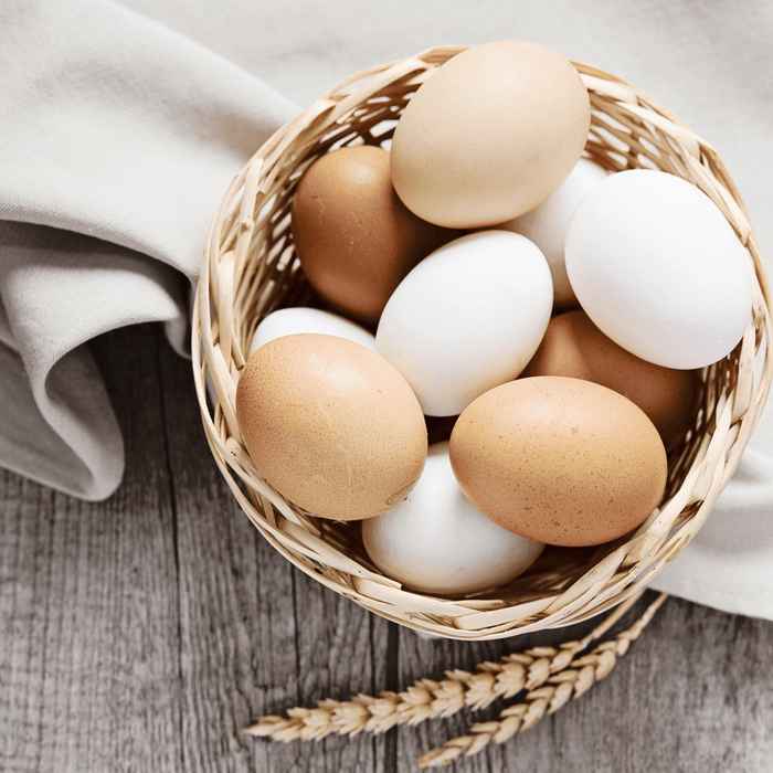 All About Eggs - Teri Cochrane