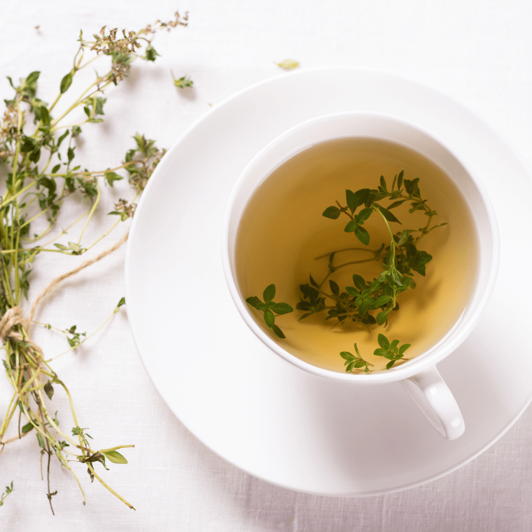 Immune Tea - Teri Cochrane