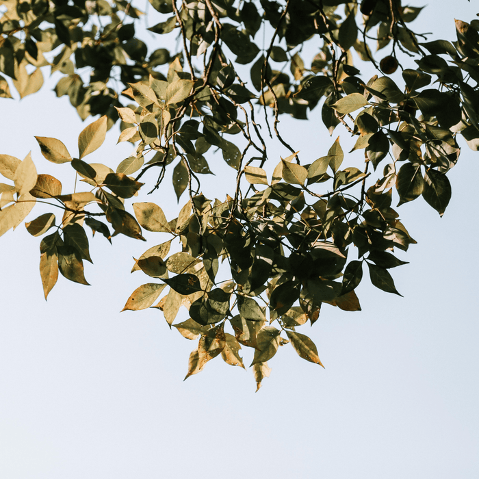 New Hope For A Woman With PCOS - Teri Cochrane
