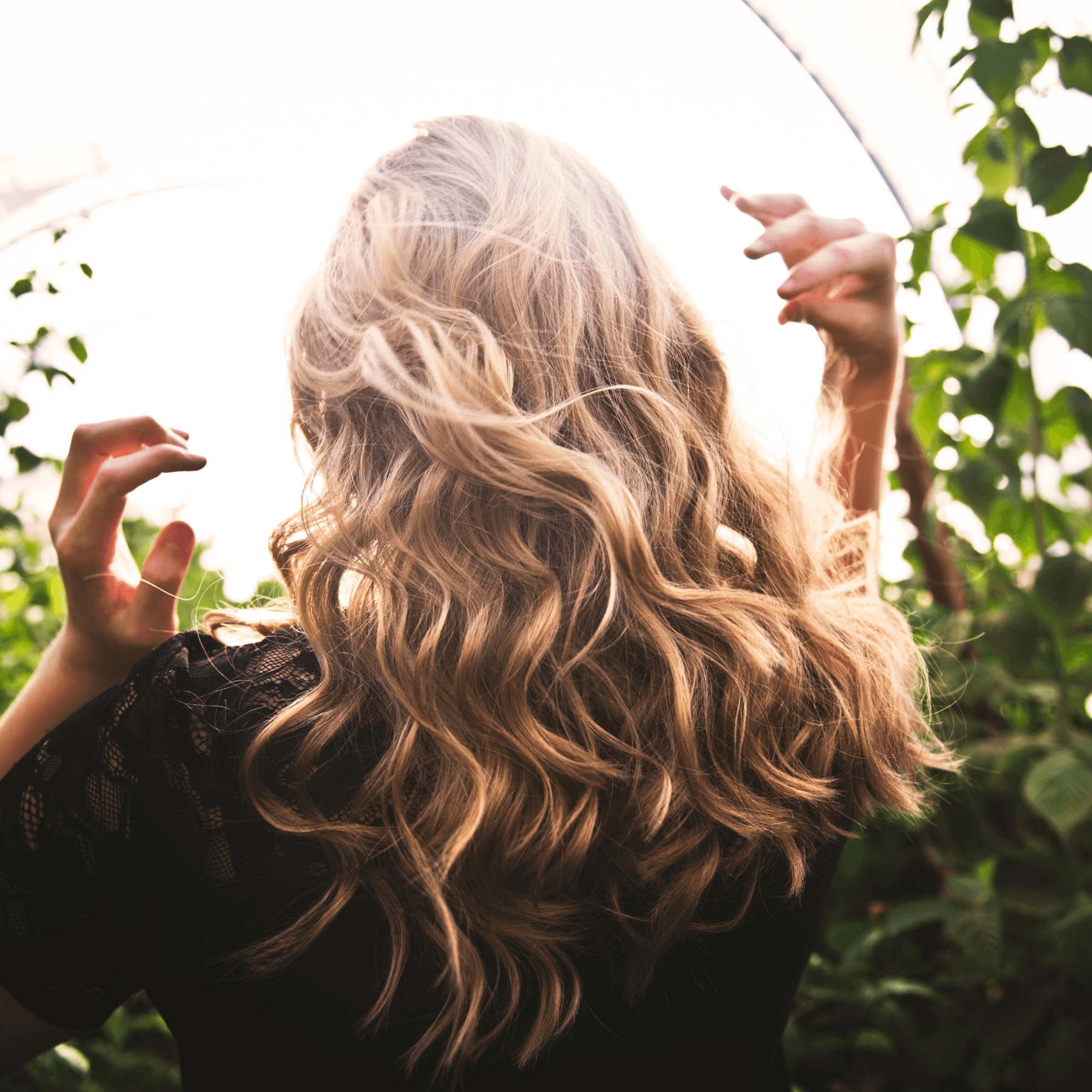 Rebalancing Excessive Hair Loss - Teri Cochrane