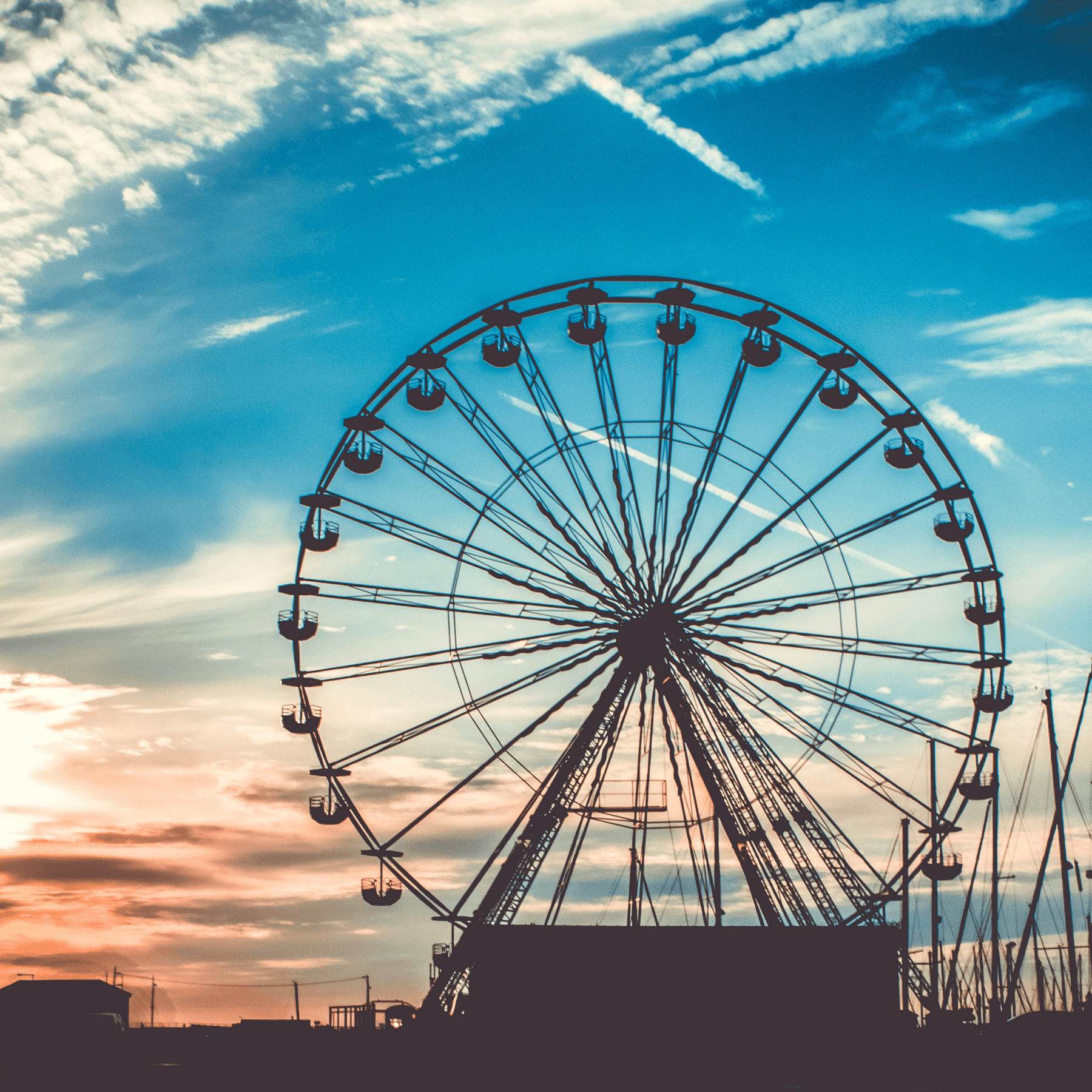 The PCOS Wheel - Teri Cochrane