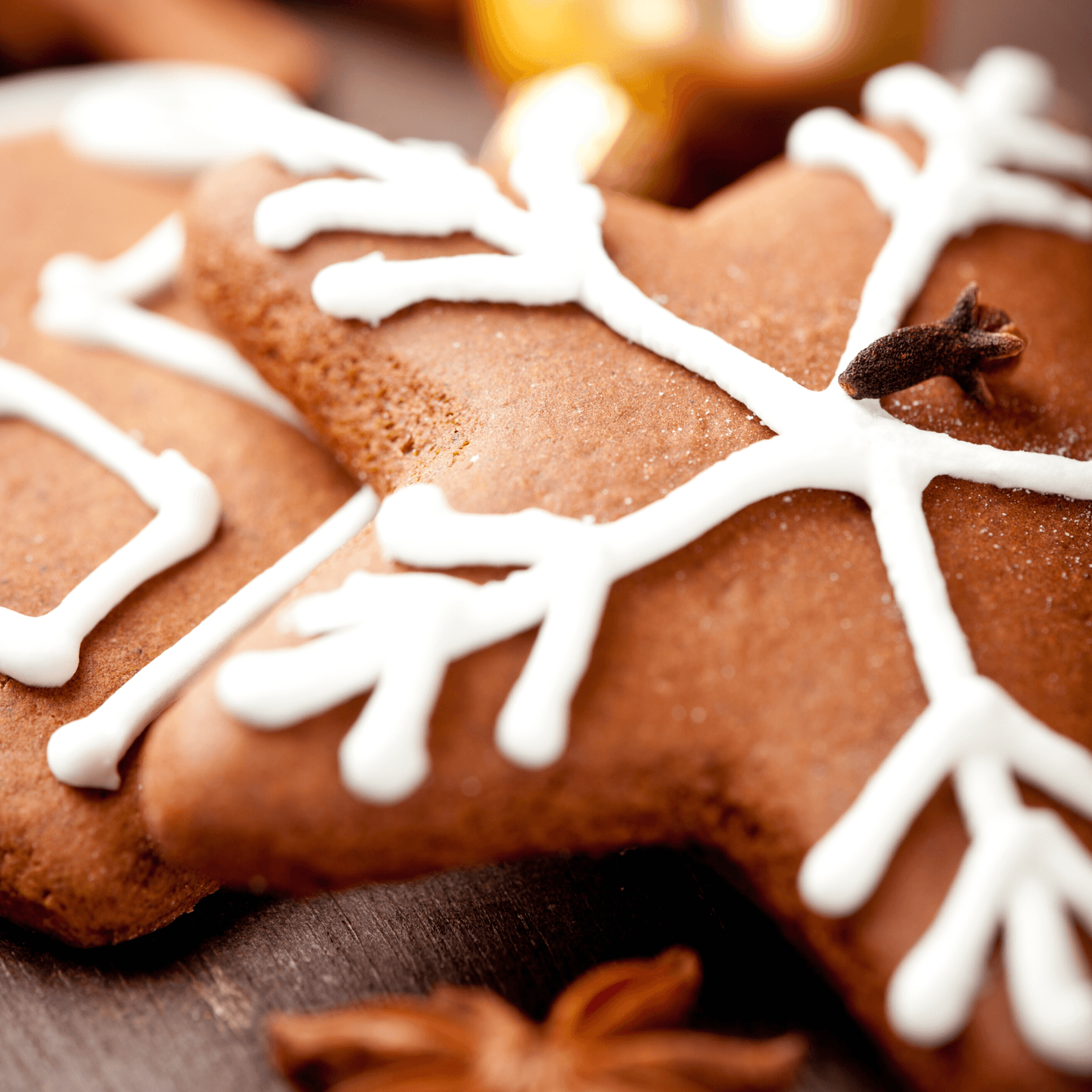 Gluten Free Gingerbread Snaps - Teri Cochrane